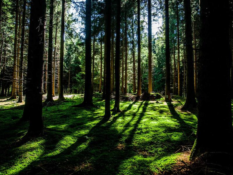 移动迷宫<br>lyv4augd.cn  glade 跑酷